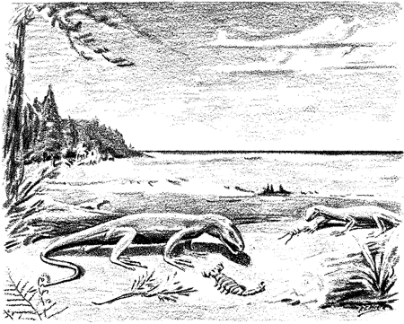 Drawing of two lizzardlike reptiles next to a calm lake; two scorpians on beach as well.