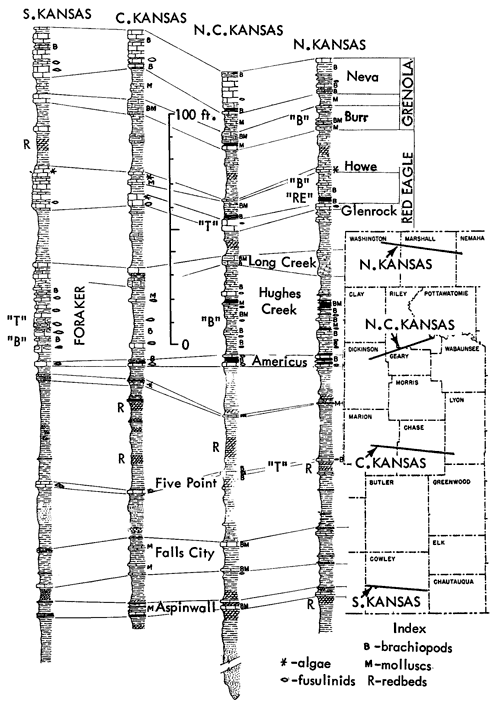 Generalized sections from southern, central, north-central and northern Kansas; Beil-type, Red Eagle-type, and Tarkio-type ecosystems.