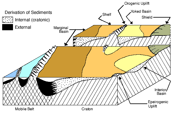 marginal basin underlain by sediments generated externally and internally; shelf and yoked basin underlain only by cratonic sediments