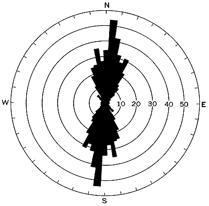 rose diagram of groove casts showing trend of N. 5 degrees E.