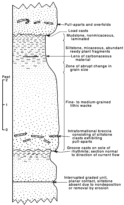 Graphical section of graded units in Tyee Formation
