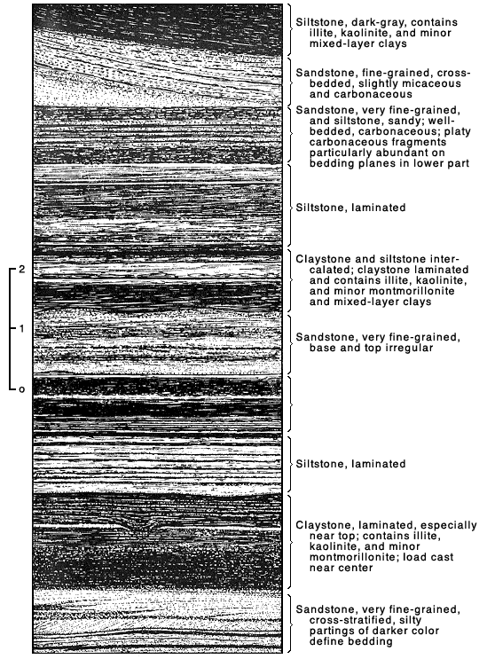 drawing of laminations and patterns seen on photo of Tyee Fm