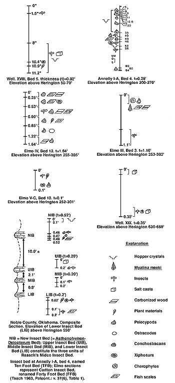 7 small sections showing location of insect and other fauna