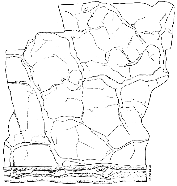 drawing of sample showing shrinkage-crack polygons and casts, in map and cross section view