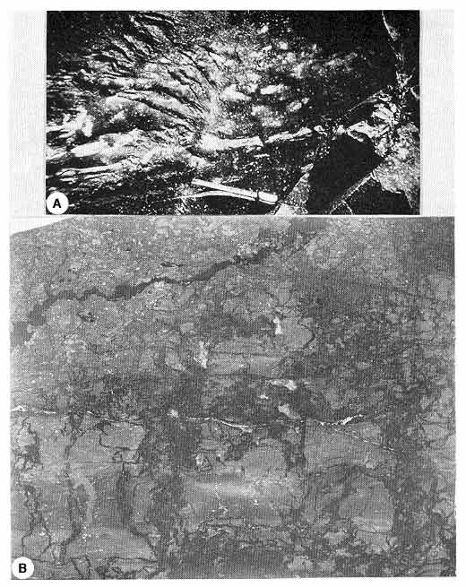two black and white photos, features described in caption