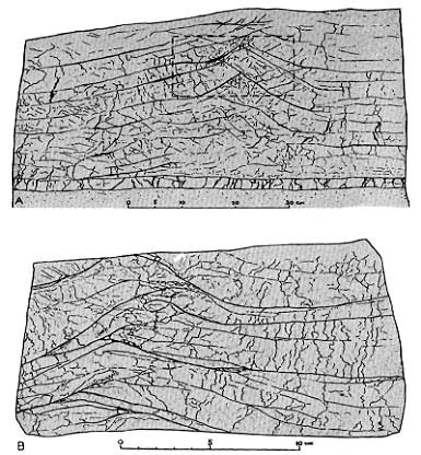 two drawings, lower drawing is expanded view of a 20 cm part of the upper 60 cm total sample