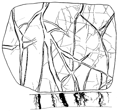 black and white drawing of shrinkage cracks; both in map and cross-section view