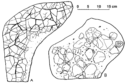black and white drawings of shrinking cracks and intraformational breccia