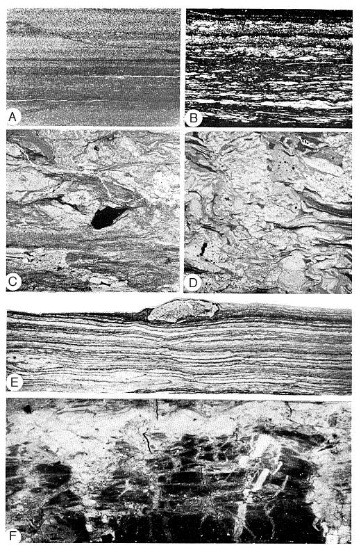 six black and white photos showing sedimentary features