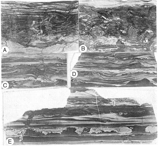 three black and white photos showing sedimentary features