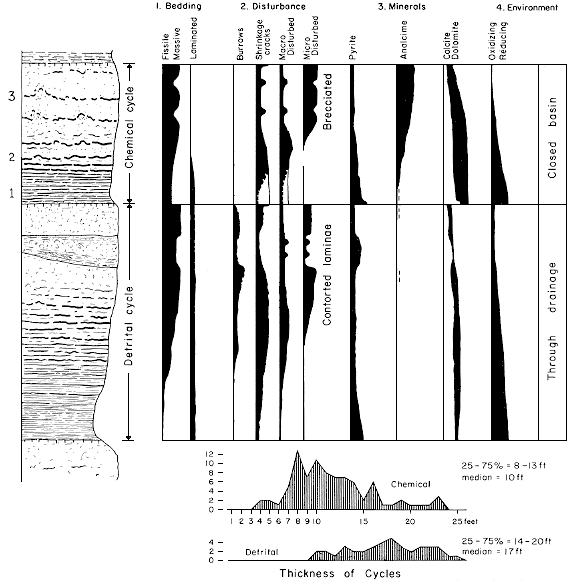 stratigraphic section showing detrital and chemical cycles tied to chart showing distribution of characteristics.