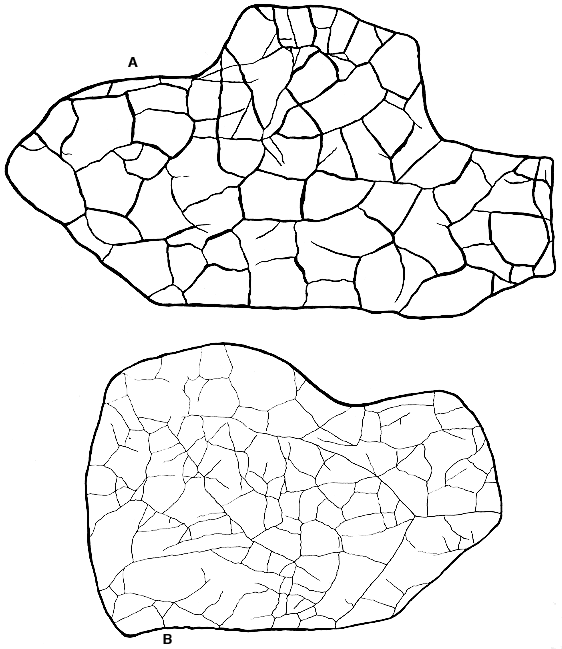 drawings of bedding plane pattern of shrinkage cracks