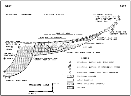 cross section of complete normal sedimentary cycle