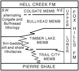 Fox Hills split into four members, more distinct splits in NE and less in SW