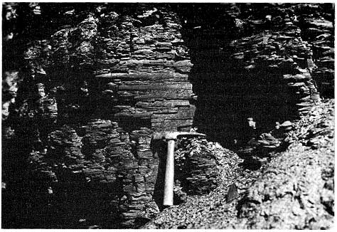 outcrop with rock hammer for scale, showing rectangular fragments