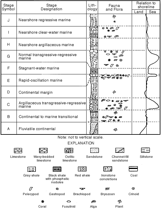 10 stages (A-J) are described with a lithology chart, flora and fauna lists, andtheir relation to shoreline