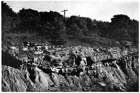 roadcut is about 20 ft high, shows resistant outcrop filling channel