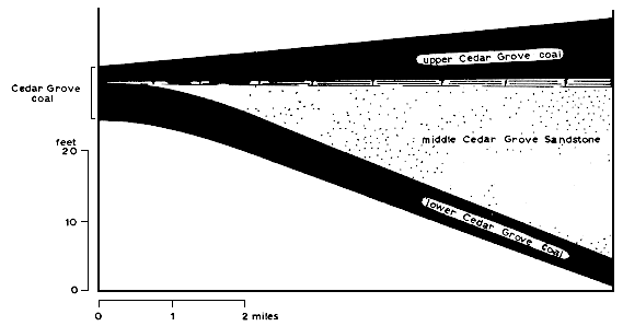 shows upper and lower Cedar Grove coals split by middle Cedar Grove sandstone