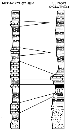 Illinois Cyclothem shows many characteristics of the generalized northern midcontinent cyclothem