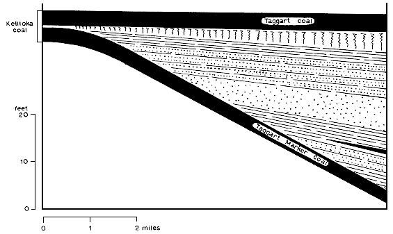 shows Taggart coals split by clastic wedge into coal and marker coal