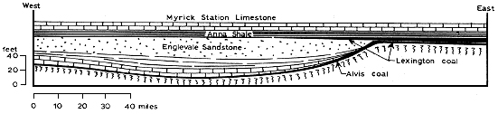 Lexington coal split into Lexington and Alvis by Englevale Sandstone; Anna Shale and Myrick Station LS above