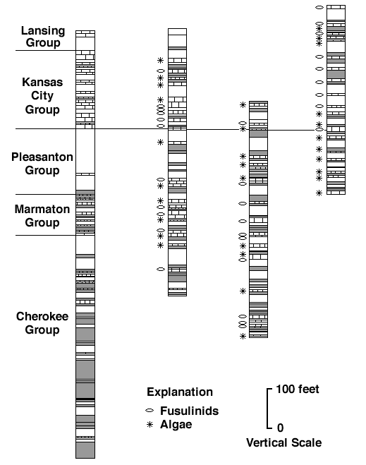 comparison of sample logs (on right) to log from mine in Leavenworth County