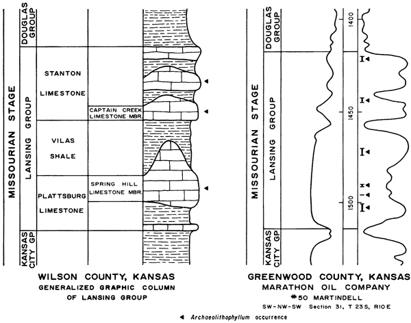 Lansing Group, from top, contains Stanton Ls (Captail Creek Ls Mbr at bottom), Vilas Sh, and Plattsburg Ls (Spring Hill Ls Mbr at top).