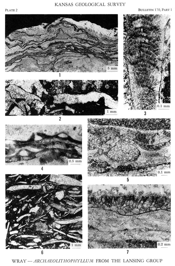 Seven black and white photos on Plate 2.