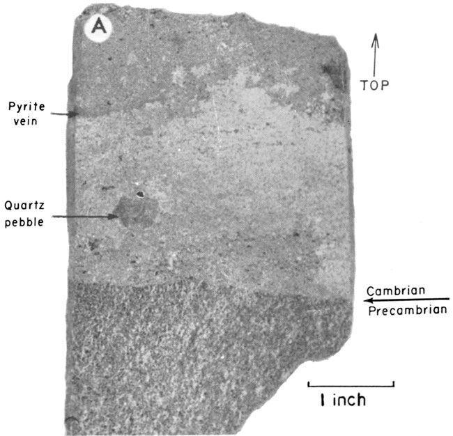 Photo of core; contact between lighter Cambrian and darker Precambrian shown.