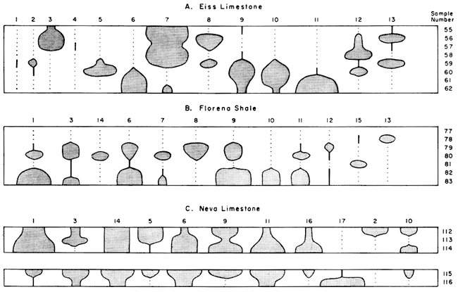 Distribution of fossils in Eiss Ls, Florena Sh, and Neva Ls.