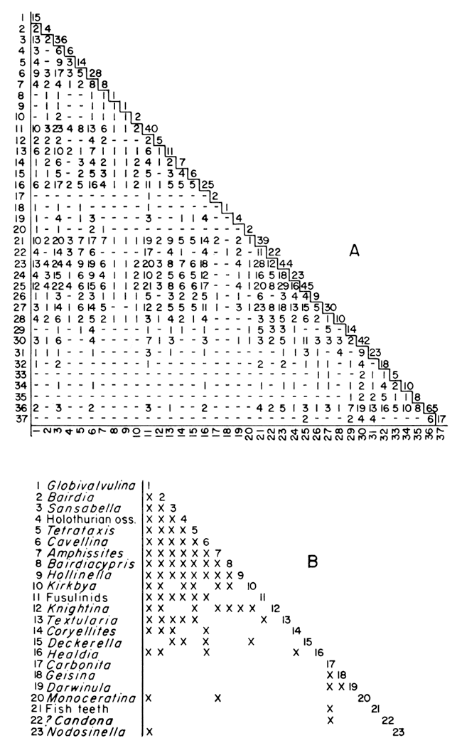 Two diagonal diagrams showing number of joint occurrences of pairs of fossils