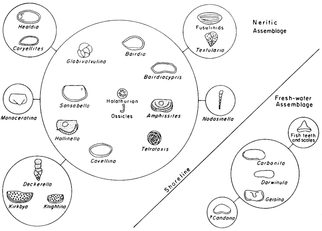 Figures illustrates grops of fossils in different salinity zones.