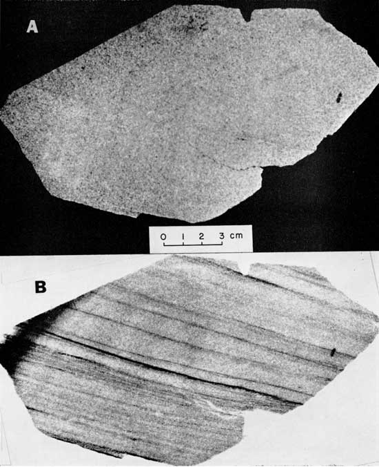 Black and white photo and radiograph, Ireland Sandstone, showing large difference between visible light and x-ray image.