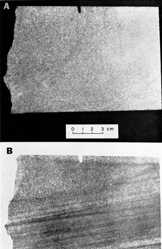 Black and white photo and radiograph, New River Group, showing large difference between visible light and x-ray image.