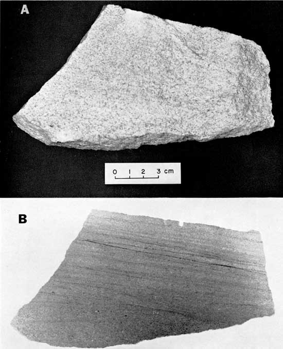 Black and white photo and radiograph, Pocahontas Group, showing large difference between visible light and x-ray image.