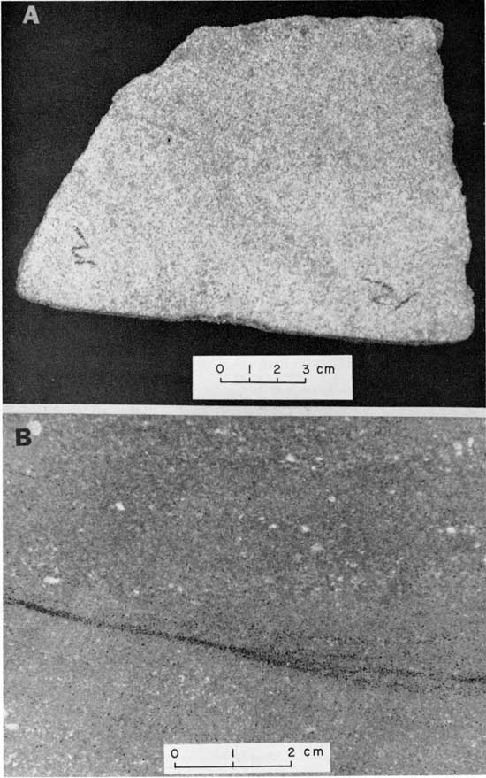 Black and white photo and radiograph, Vermejo Formation, showing large difference between visible light and x-ray image.