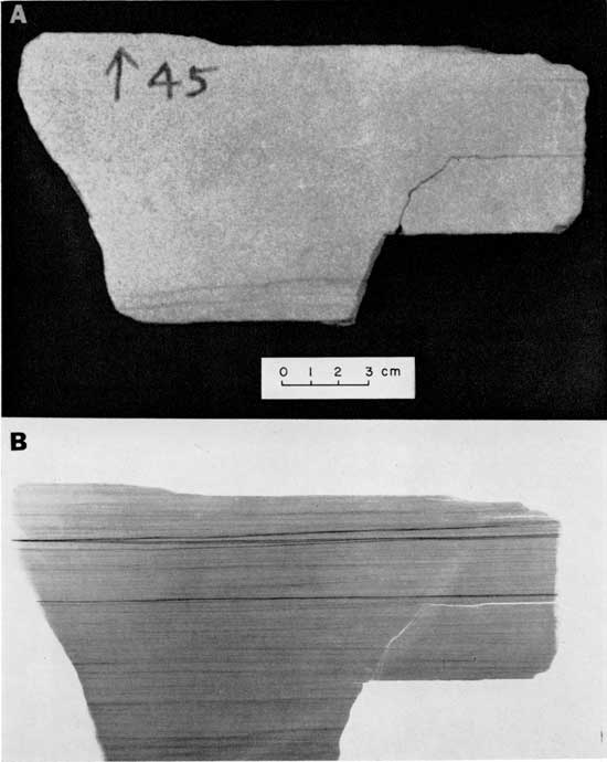 Black and white photo and radiograph, Tonganoxie Sandstone, showing large difference between visible light and x-ray image.