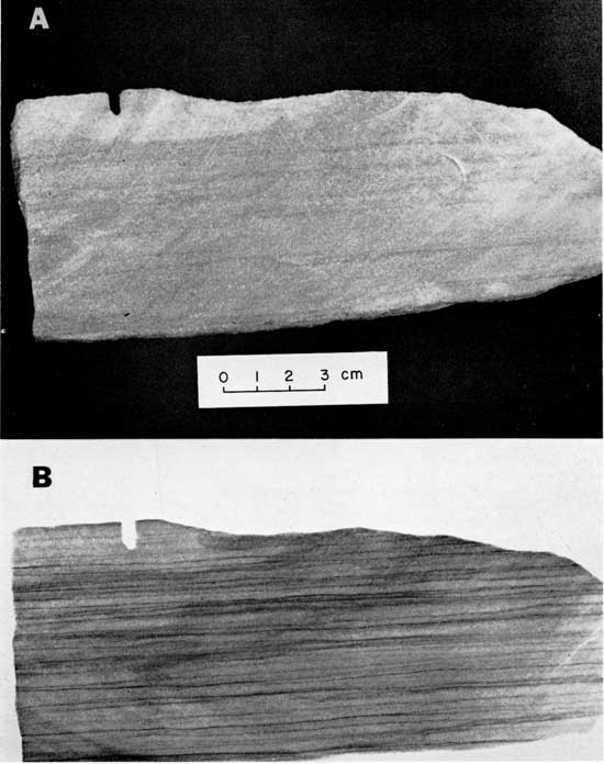 Black and white photo and radiograph, Tallant Formation, showing large difference between visible light and x-ray image.