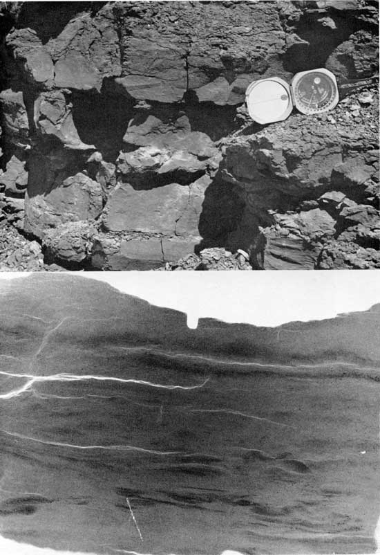Black and white photo and radiograph, Moenkopi Formation, showing view of an outcrop (Brunton compass for scale) and x-ray image.