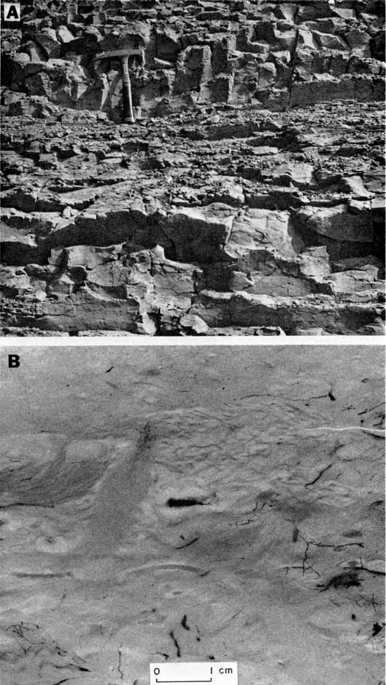 Black and white photo and radiograph, English River Formation, showing view of an outcrop (rock hammer for scale) and x-ray image.