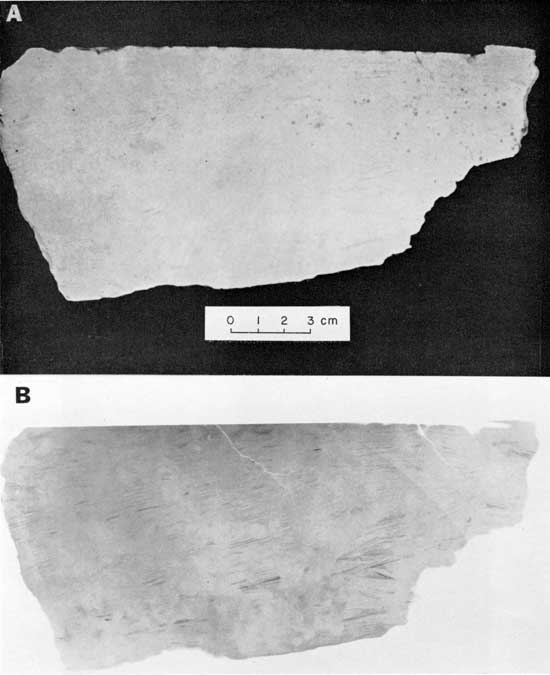 Black and white photo and radiograph, Vamoosa Formation, showing comparison of visible light and x-ray image.