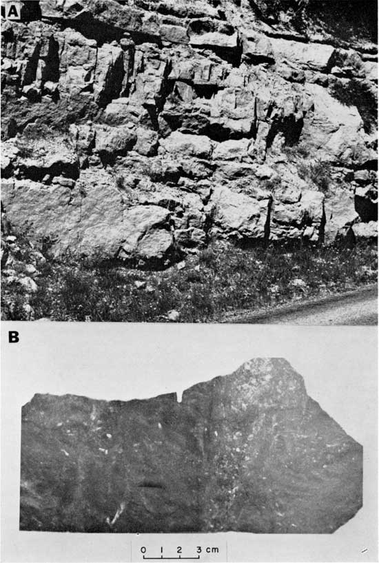 Black and white photo and radiograph, Kaibab Formation, showing view of an outcrop along a road and x-ray image.