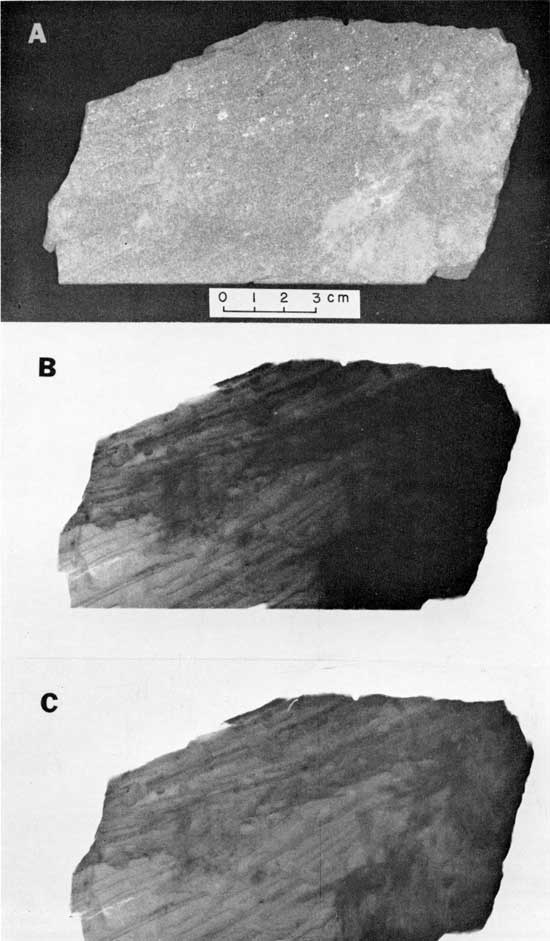 Black and white photo and two radiographs, Lyons Formation, comparing visible light image and two methods of captuting x-ray images.