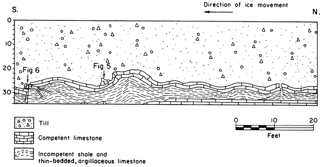 Cross section; till above competent limestone; below that is incompentent shale and thin-bedded, argillaceous limestone.