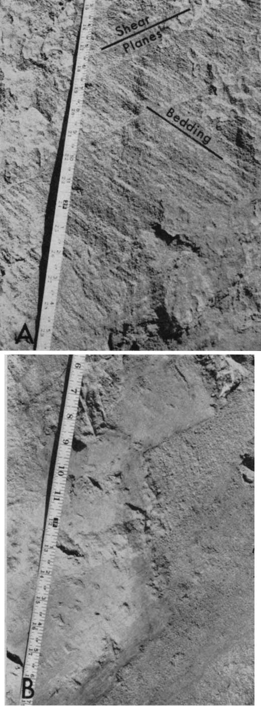 Black and white photos; closeups showing different orientation of bedding and shear planes; closeup of till and sand contact.