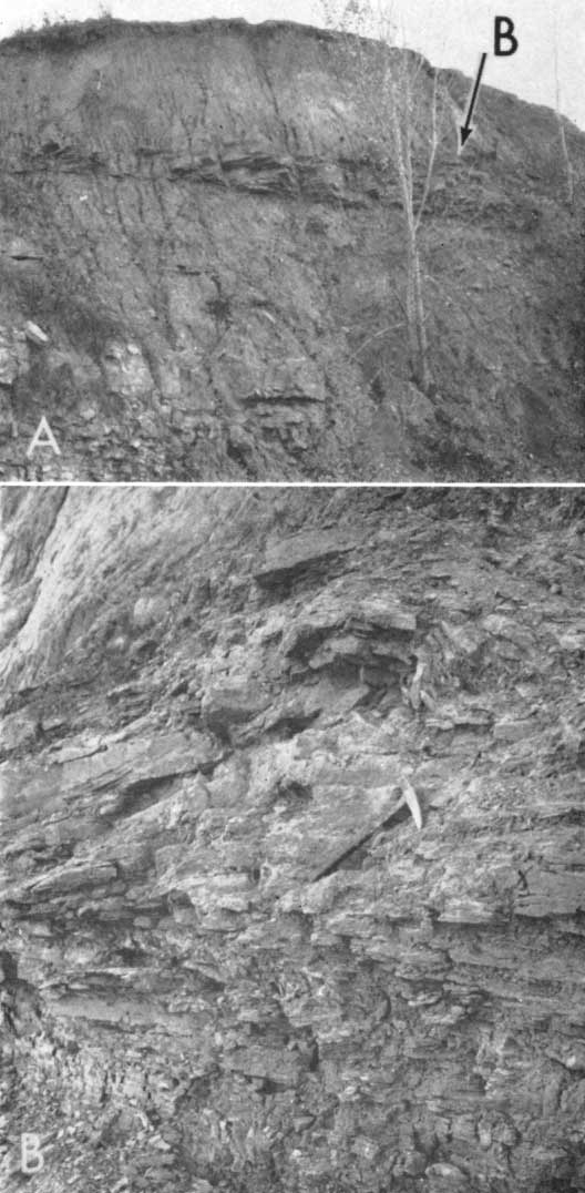 Black and white photos of outcrop, whole outcrop and closeup.