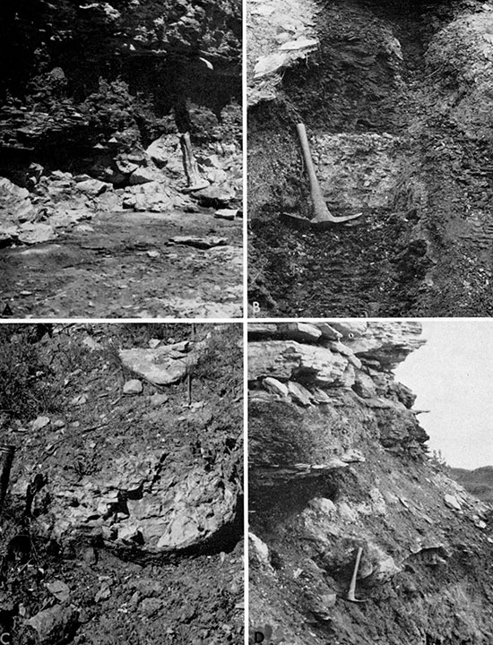 Four black and white photos: bentonite and concretions in upper part of the Graneros Shale.