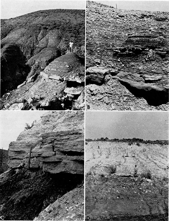 Four black and white photos; Dakota-Graneros contact, uppermost part of Dakota, and two of Graneros-Greenhorn contact.