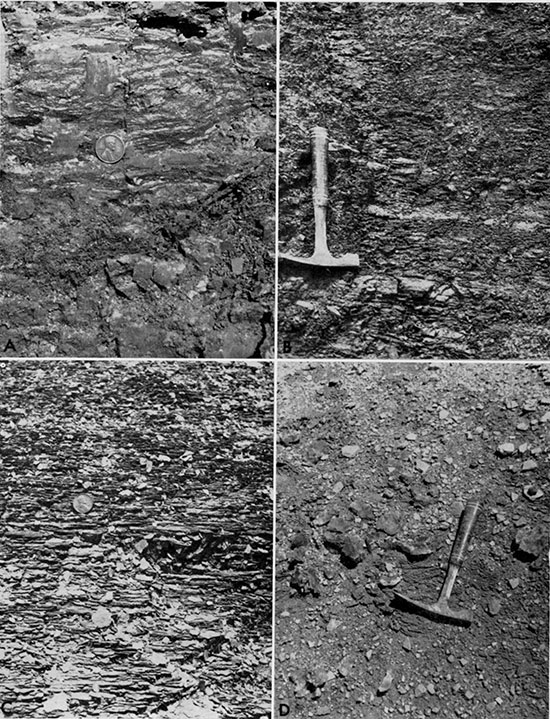 Four black and white photos: features of silty shale in the Graneros Shale.