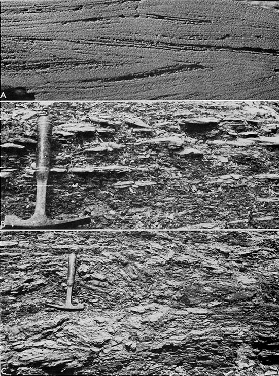Three black and white photos: features of noncalcareous sandstone in the Graneros Shale.